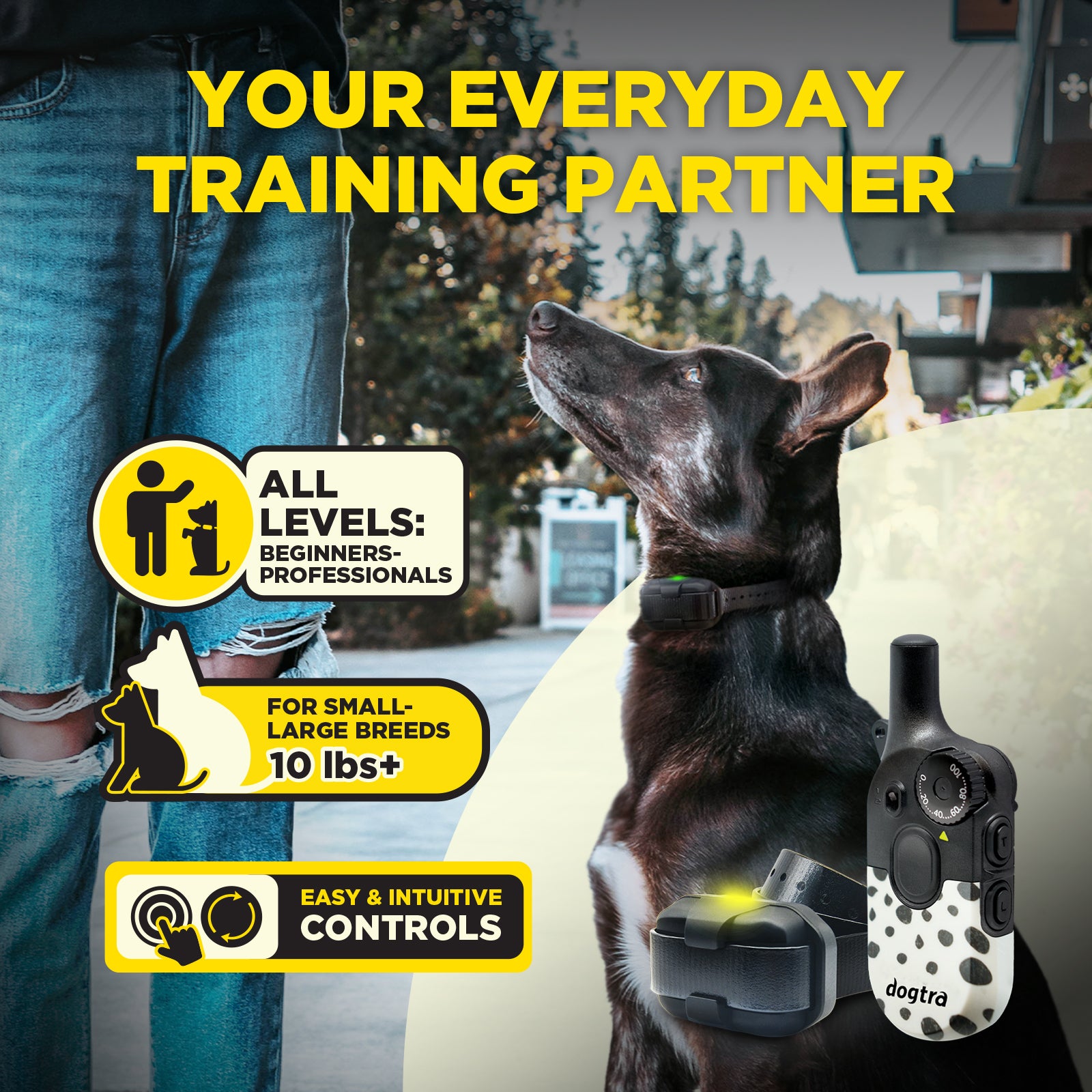 200iQ MODERN DOTS – Dogtra.com