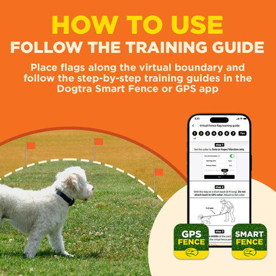 ORANGE TRAINING FLAGS