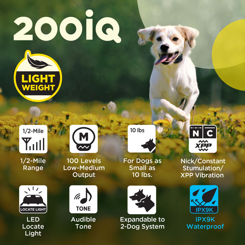 200iQ 1-DOG UNIT