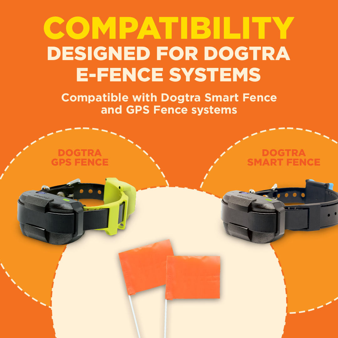 Two bright orange flags with white poles displayed with compatible dog training collars on orange background.