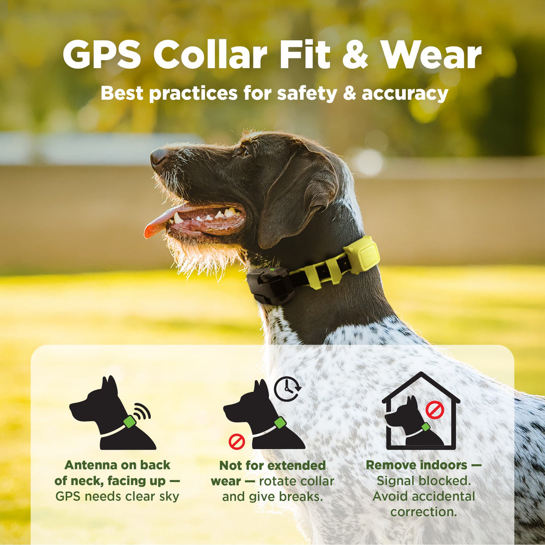 DOGTRA GPS FENCE