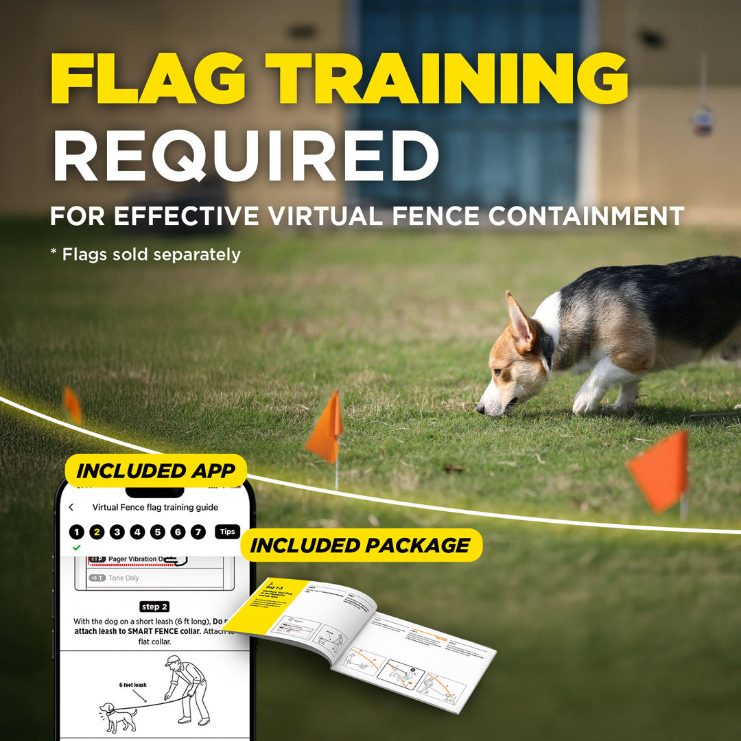 DOGTRA SMART FENCE