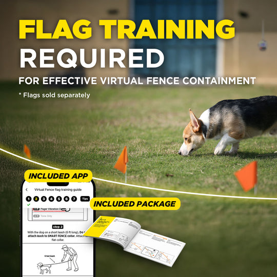 DOGTRA SMART FENCE