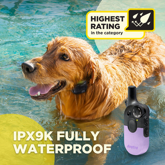 200iQ LAVENDER + FREE DOGTRA TREAT BAG