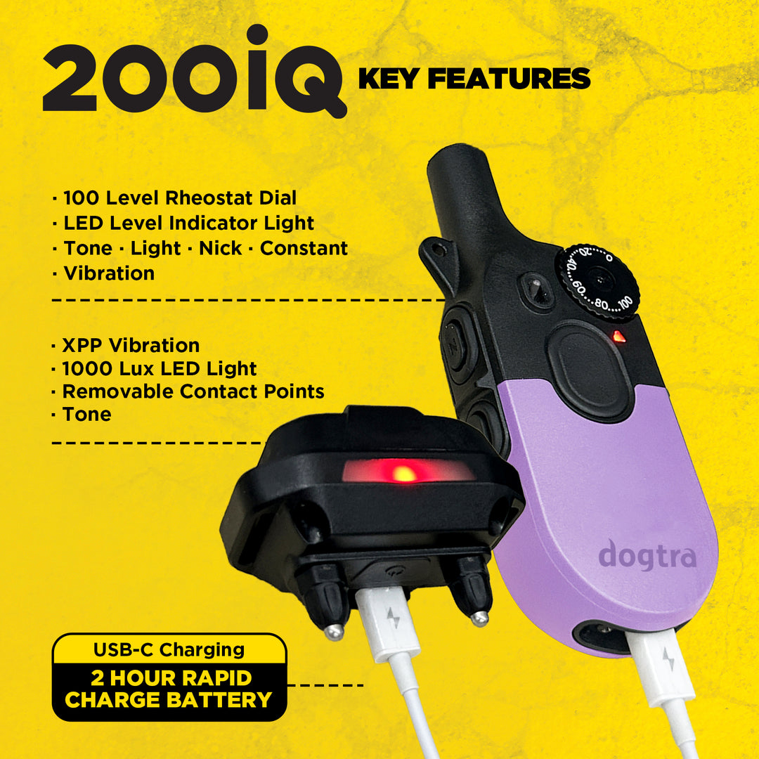 200iQ LAVENDER + FREE DOGTRA TREAT BAG