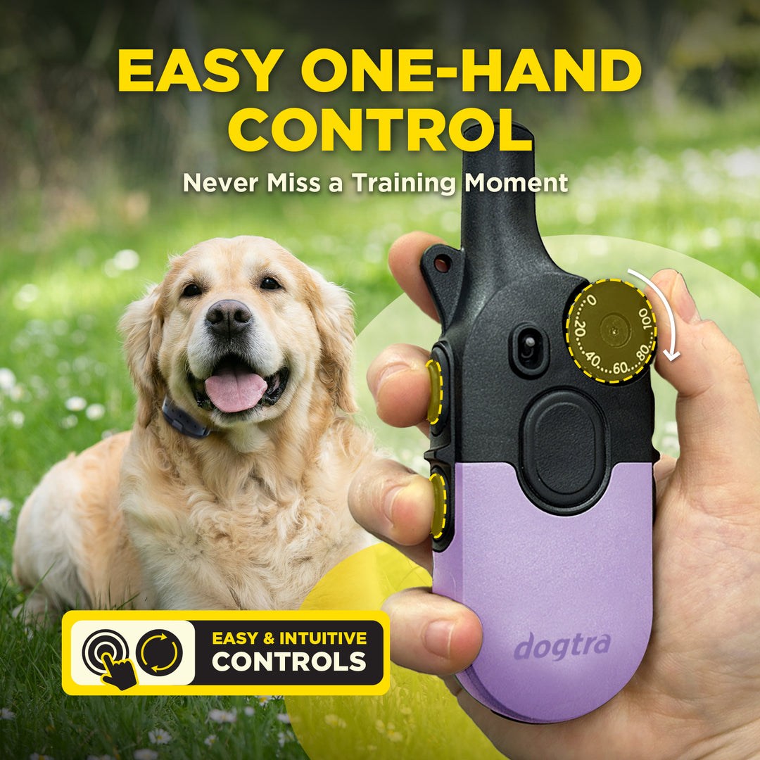 200iQ LAVENDER + FREE DOGTRA TREAT BAG