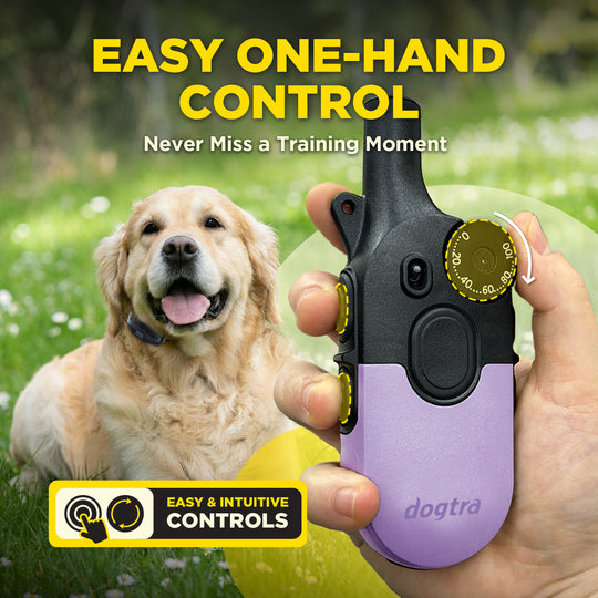 200iQ LAVENDER + FREE DOGTRA TREAT BAG