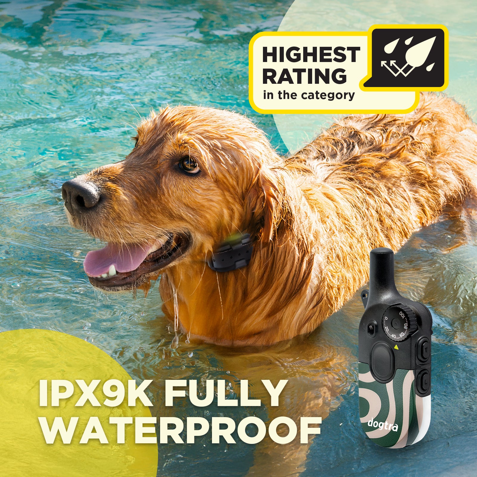 200iQ CAFE SWIRL – Dogtra.com