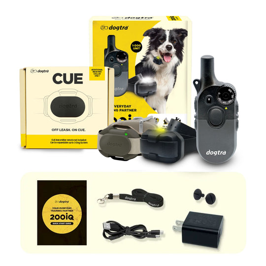 200iQ 2-Dog Bundle with CUE Gen2 Grey Receiver