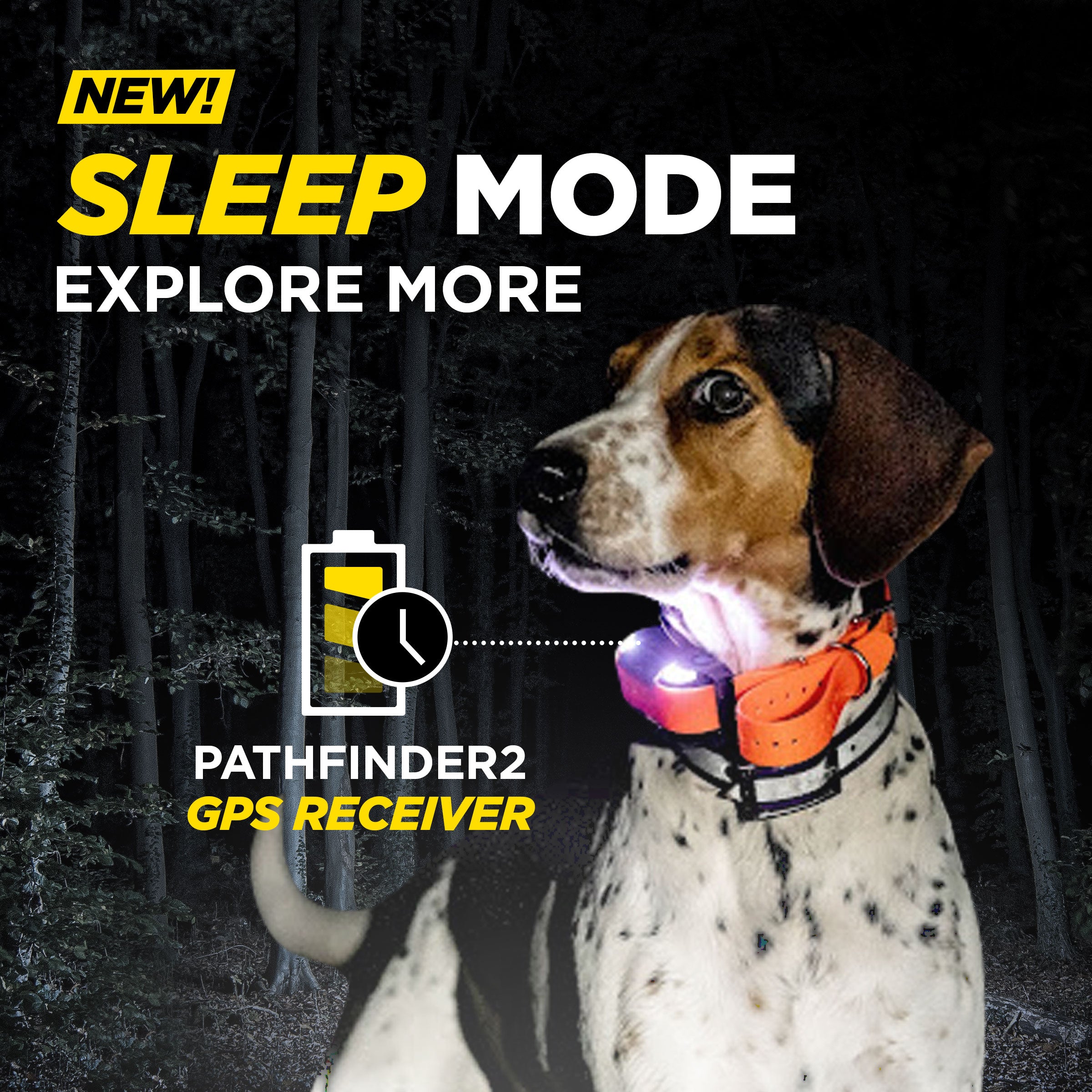 Gps hunting dog collar reviews best sale