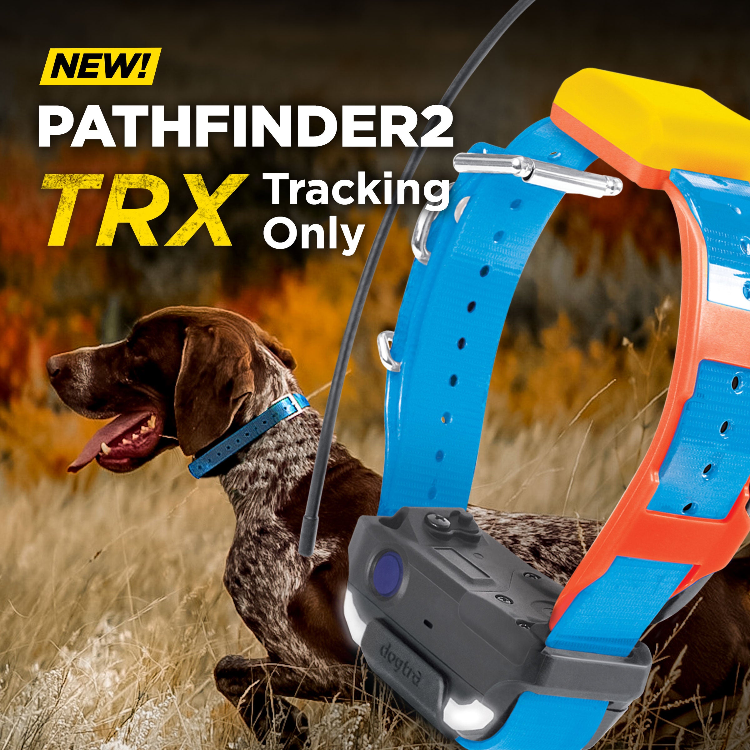 Pathfinder dog collar hotsell