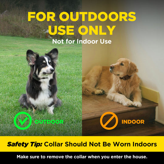 DOGTRA SMART FENCE