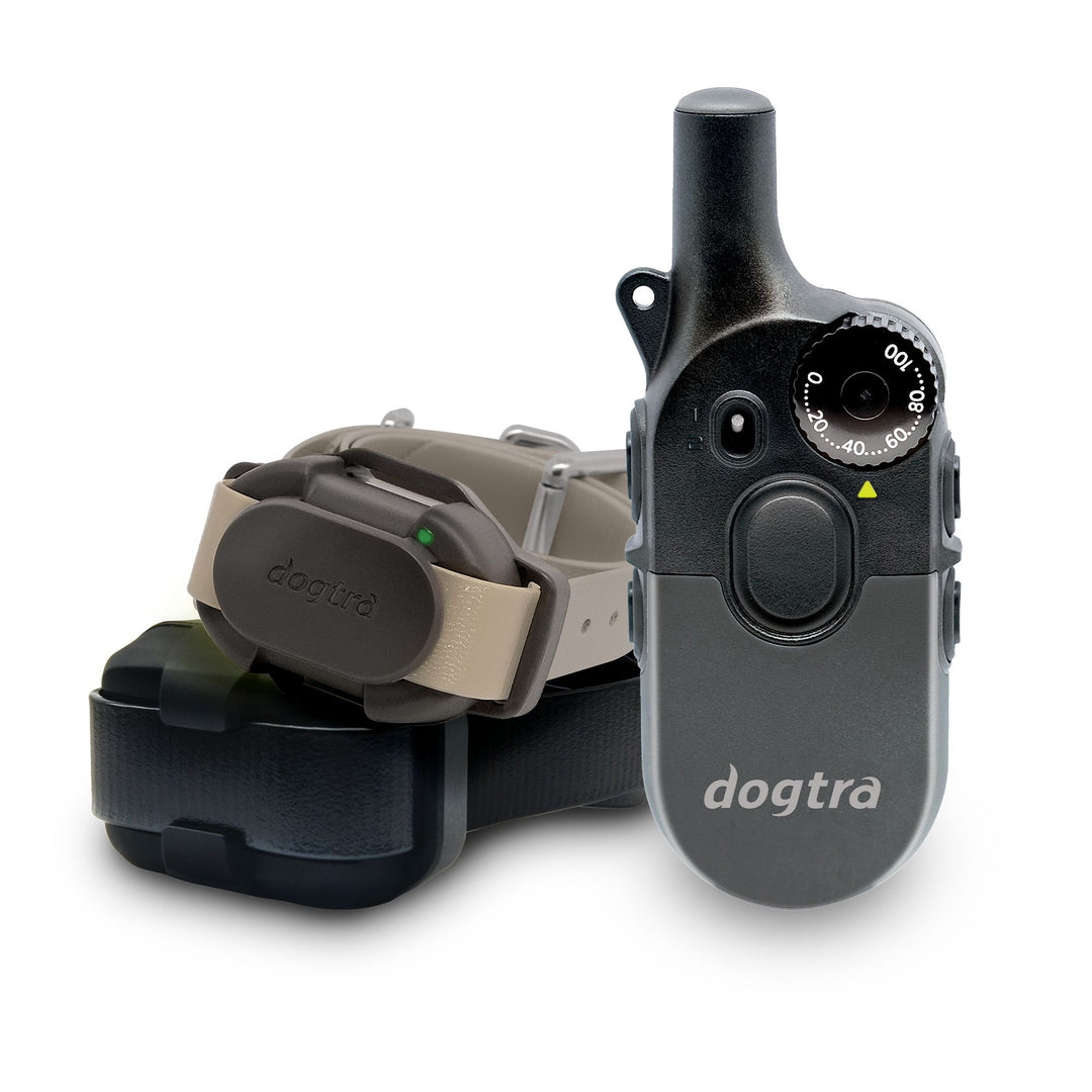 200iQ 2-Dog Bundle with CUE Gen2 Grey Receiver