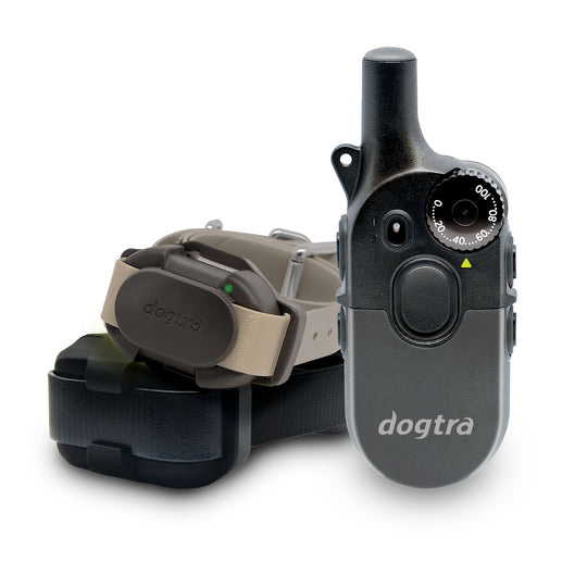 200iQ 2-Dog Bundle with CUE Gen2 Grey Receiver