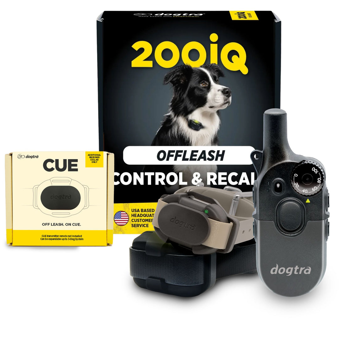 200iQ 2-Dog Bundle with CUE Gen2 Grey Receiver