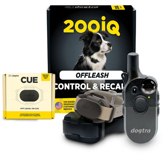 200iQ 2-Dog Bundle with CUE Gen2 Grey Receiver