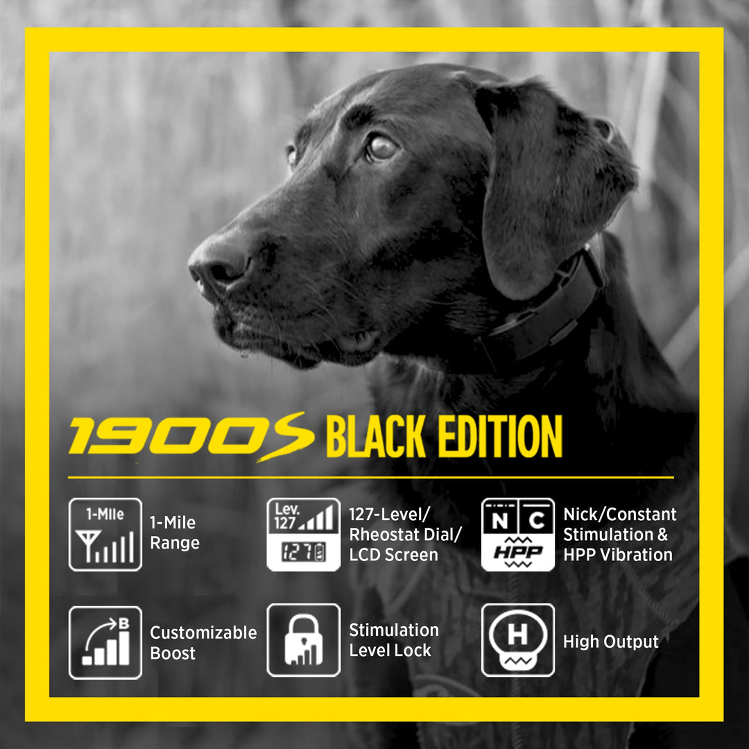1900S BLACK EDITION BOOST & LOCK