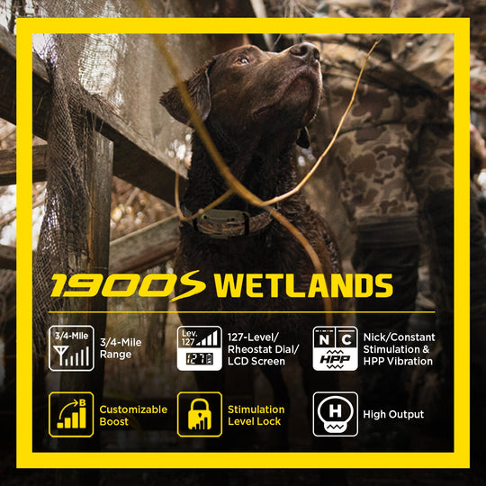 1900S WETLANDS BOOST & LOCK