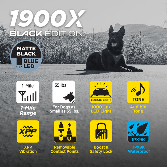 1900X BLACK EDITION ADDITIONAL RECEIVER