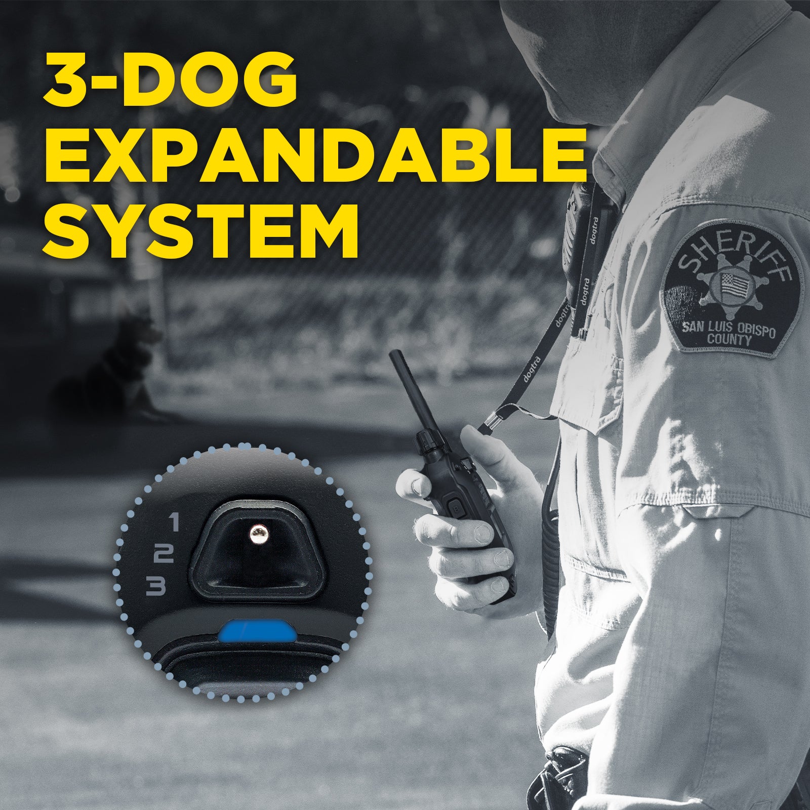 1900X BLACK EDITION 1-DOG UNIT