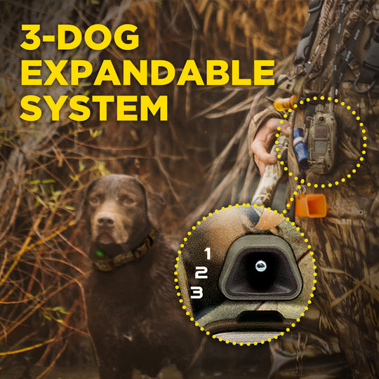 1900X CAMOUFLAGE 1-DOG UNIT
