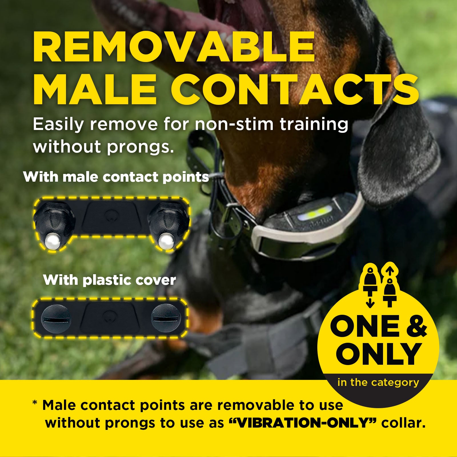 1900X 1-DOG UNIT – Dogtra.com