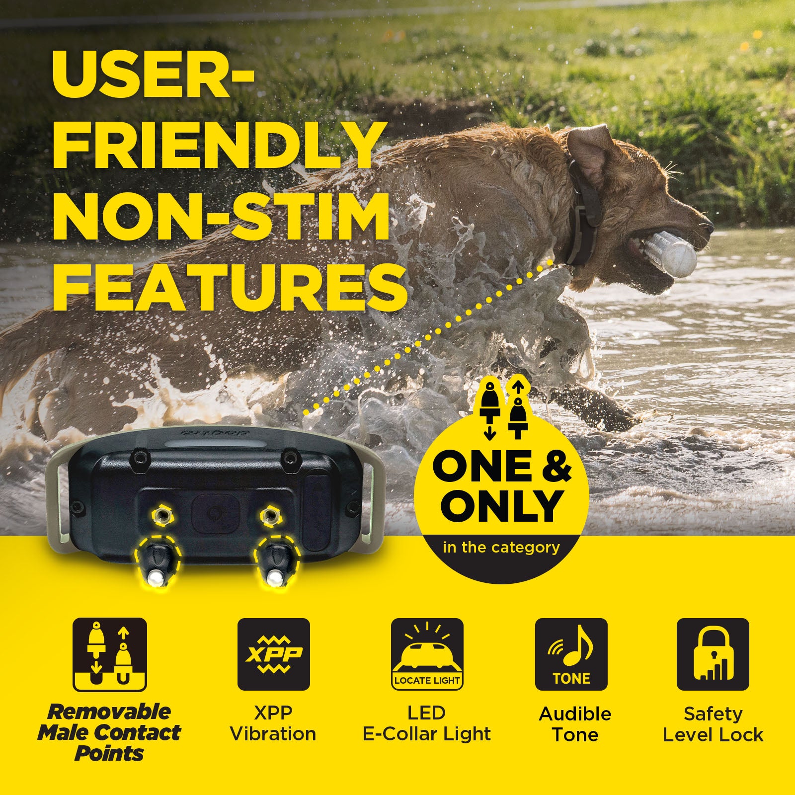 1900X 1-DOG UNIT – Dogtra.com