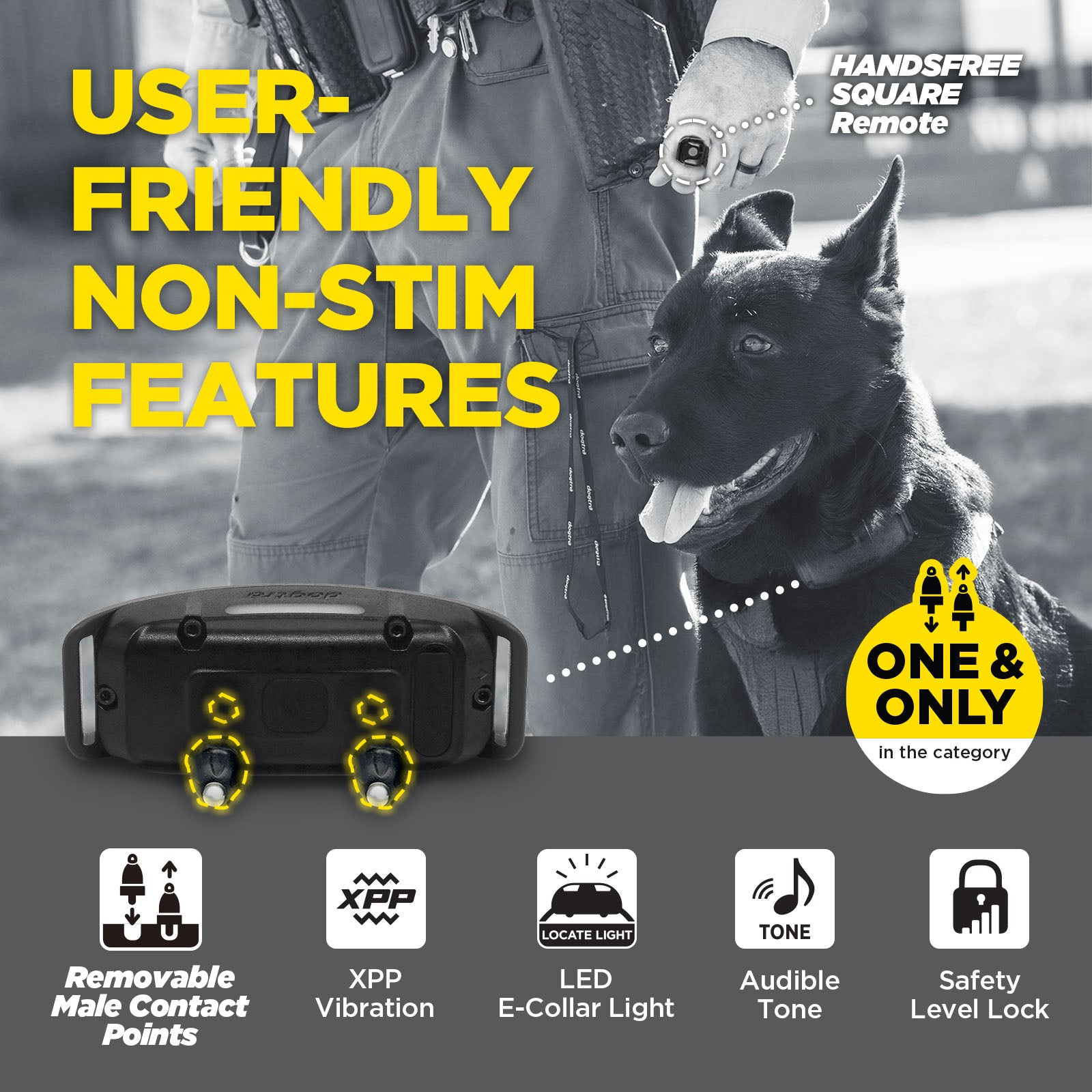 1900X BLACK EDITION 1-DOG UNIT