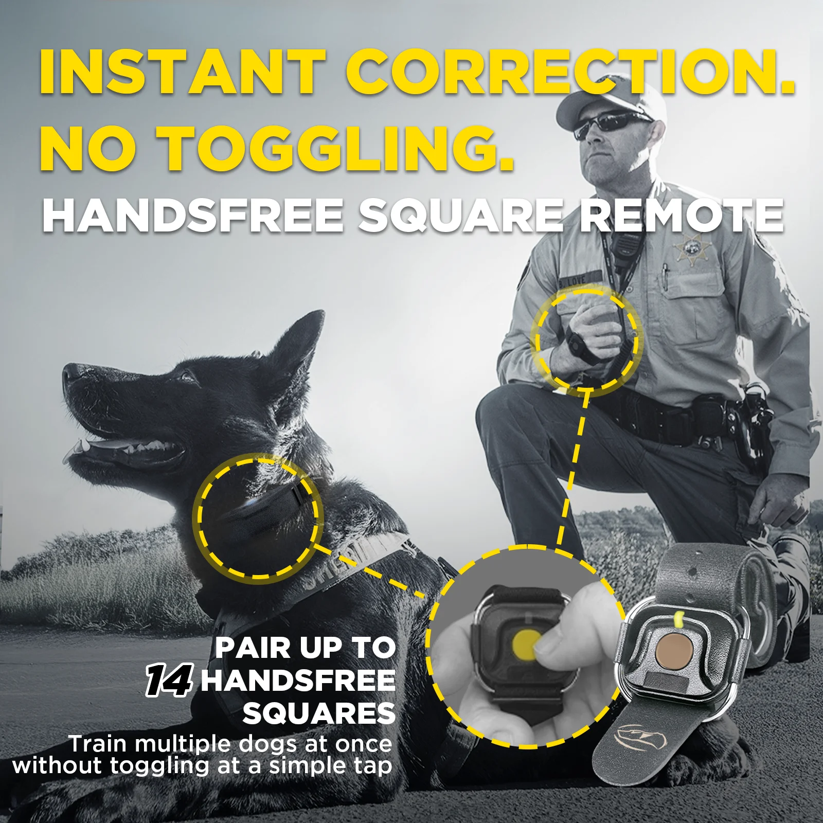 1900X BLACK EDITION 1-DOG UNIT