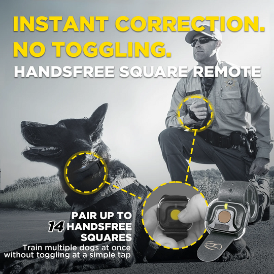 1900X BLACK EDITION 1-DOG UNIT