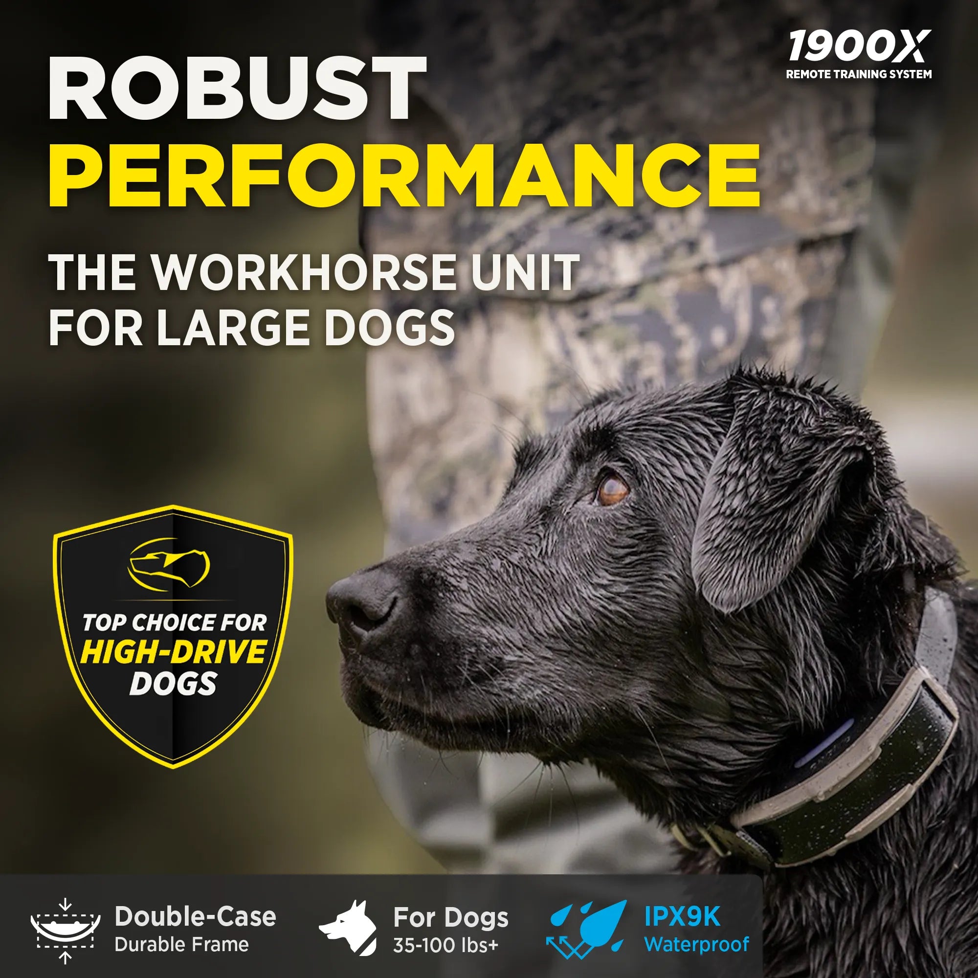 Promotional graphic for a dog training collar, featuring a wet black dog in profile wearing the collar. Large text reads 'ROBUST PERFORMANCE' and 'THE WORKHORSE UNIT FOR LARGE DOGS,' with feature callouts including '1900X Remote Training System,' 'Top Choice for High-Drive Dogs,' 'Double-Case Durable Frame,' 'For Dogs 33-100 lbs+,' and 'IPX9K Waterproof.