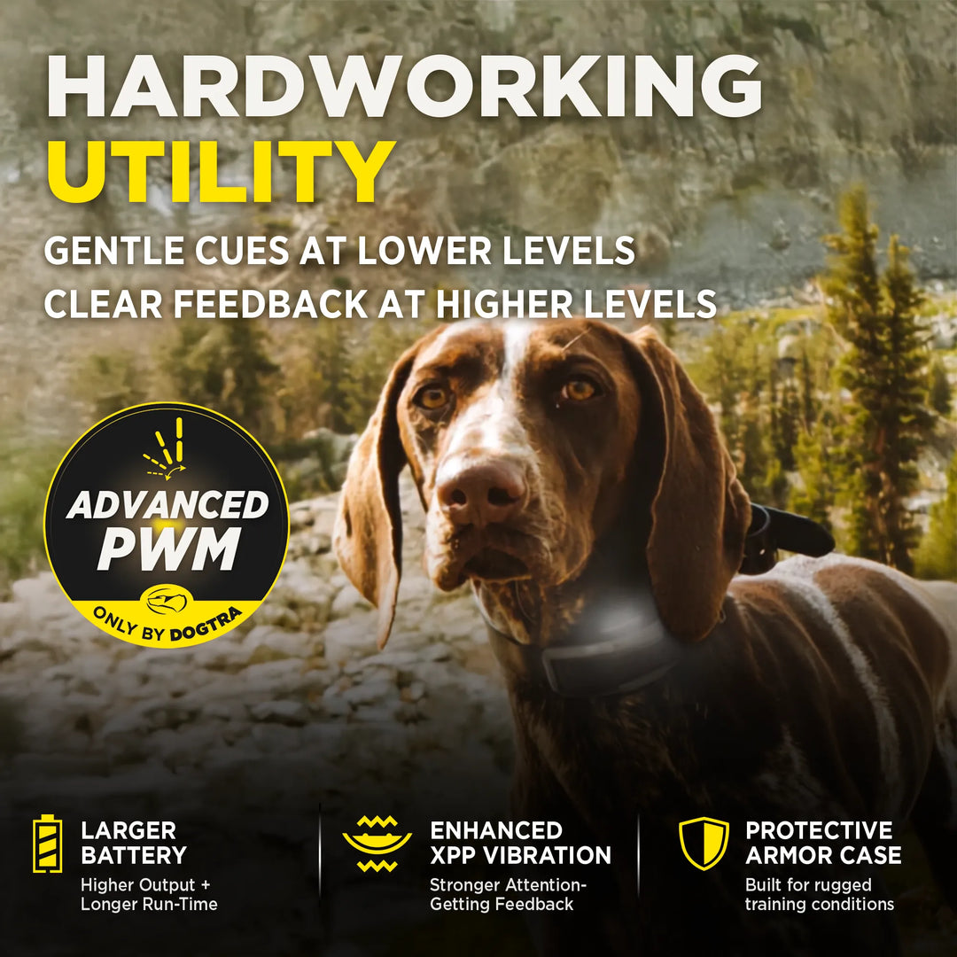 A promotional graphic for a dog training collar featuring a brown and white dog wearing the product in an outdoor setting. The image includes large marketing text such as 'HARDWORKING UTILITY,' 'ADVANCED PWM,' and feature callouts about battery life, vibration, and protective armor case.