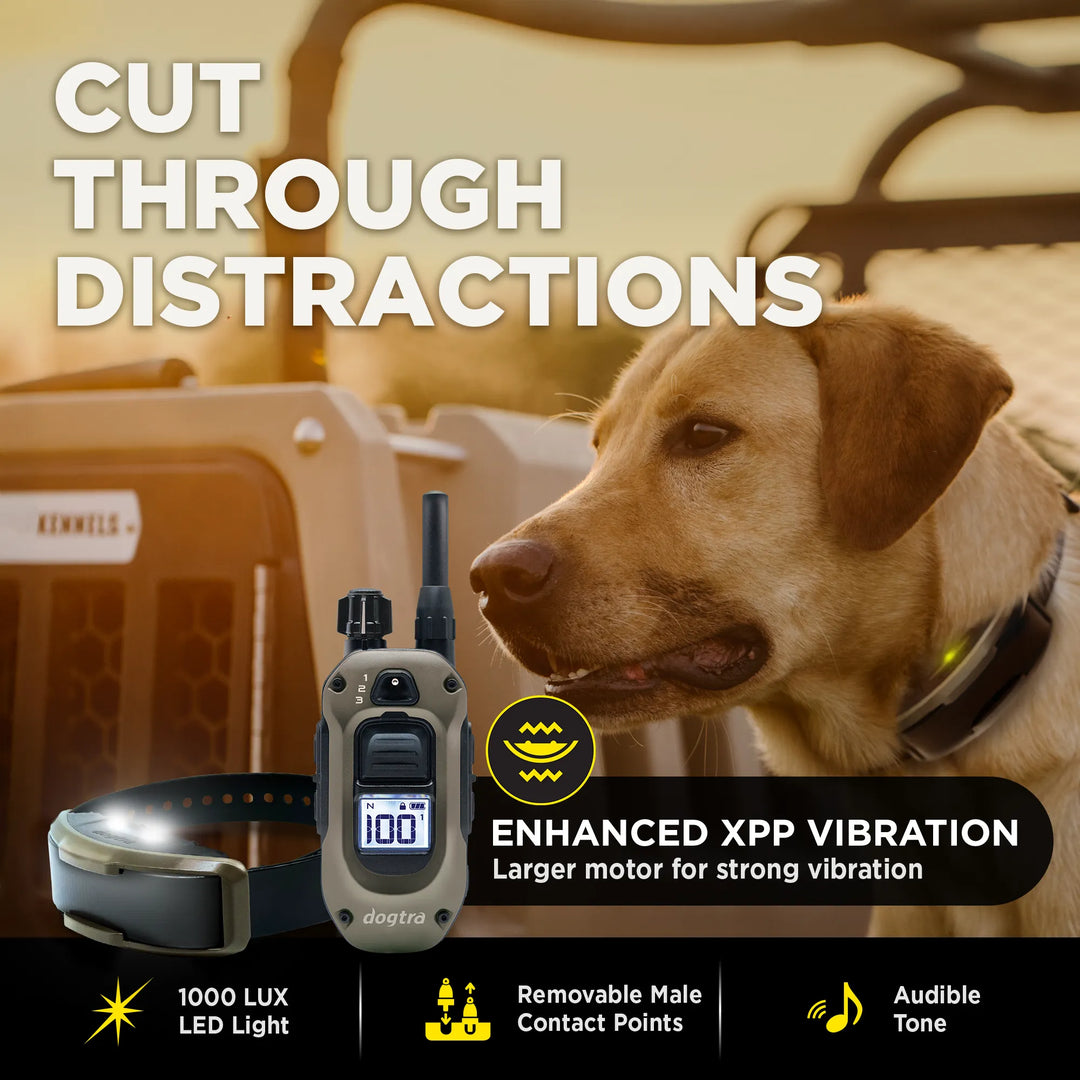 Dog collar and remote e-collar set shown with a yellow Labrador Retriever in a vehicle, with marketing text including 'CUT THROUGH DISTRACTIONS' and 'ENHANCED XPP VIBRATION'.