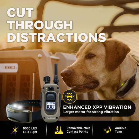 Dog collar and remote e-collar set shown with a yellow Labrador Retriever in a vehicle, with marketing text including 'CUT THROUGH DISTRACTIONS' and 'ENHANCED XPP VIBRATION'.