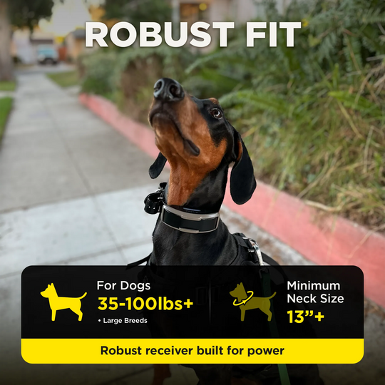 A black and tan dog wearing a harness outdoors on a sidewalk, with large text reading 'ROBUST FIT' and feature callouts about suitability for dogs 35-100lbs+ and minimum neck size 13"+.