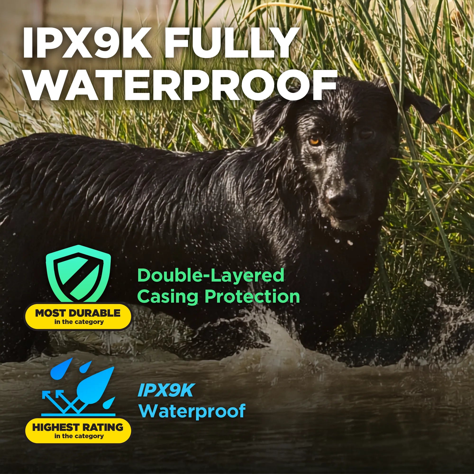 A black dog standing in shallow water among tall grass, with large promotional text reading 'IPX9K FULLY WATERPROOF' and feature callouts including 'Double-Layered Casing Protection' and 'IPX9K Waterproof.'.