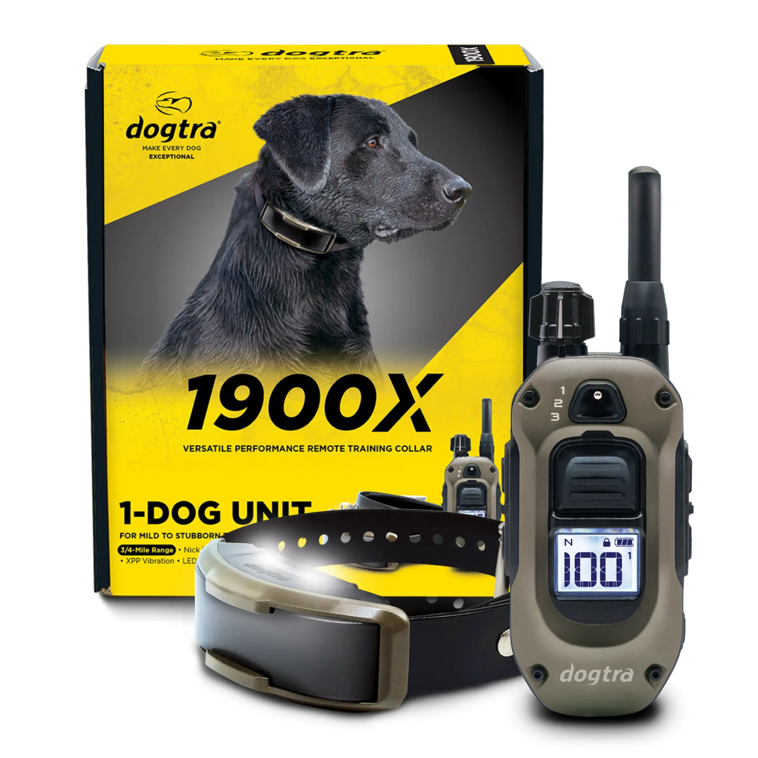 Dogtra 1900X 1-dog unit remote training collar set, featuring a gray and black remote control, a black collar with LED light, and the yellow and black retail packaging box with a black dog graphic.
