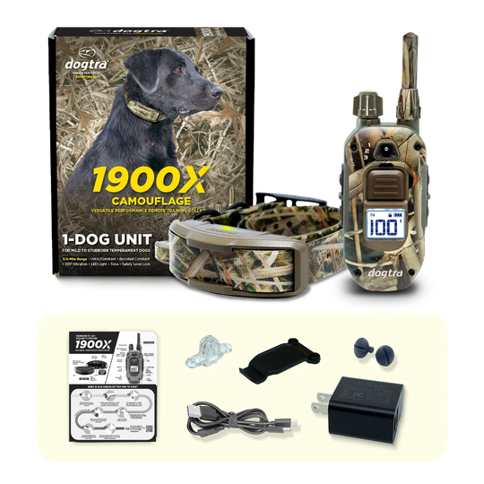 1900x-camo.webp__PID:a9443a5d-e7ee-4b34-b3d7-47e875874da4