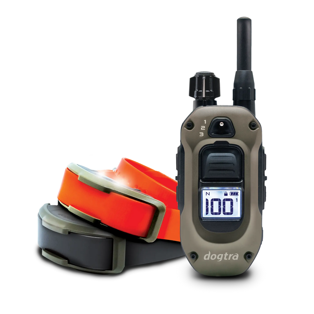 1900x 2dog v2.webp__PID:a6f81c2e-d86e-41df-8a59-692d83777fdd