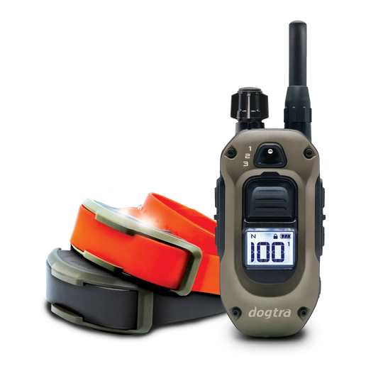 1900x 2dog v2.webp__PID:a6f81c2e-d86e-41df-8a59-692d83777fdd