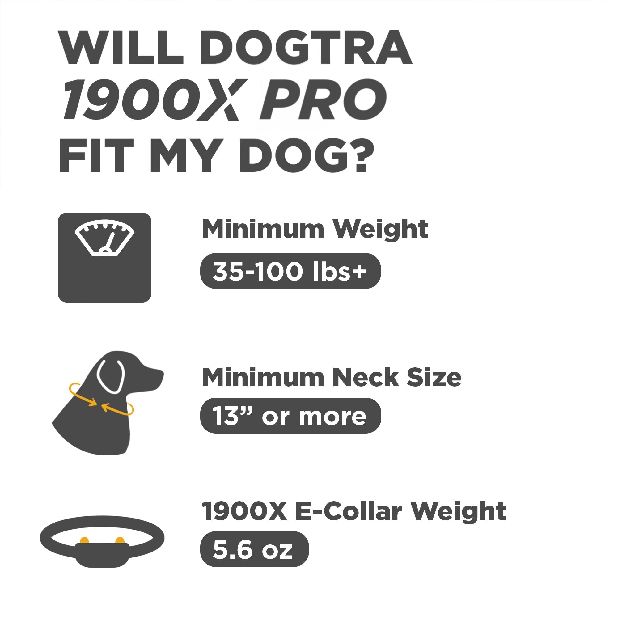 1900X PRO 1-DOG UNIT