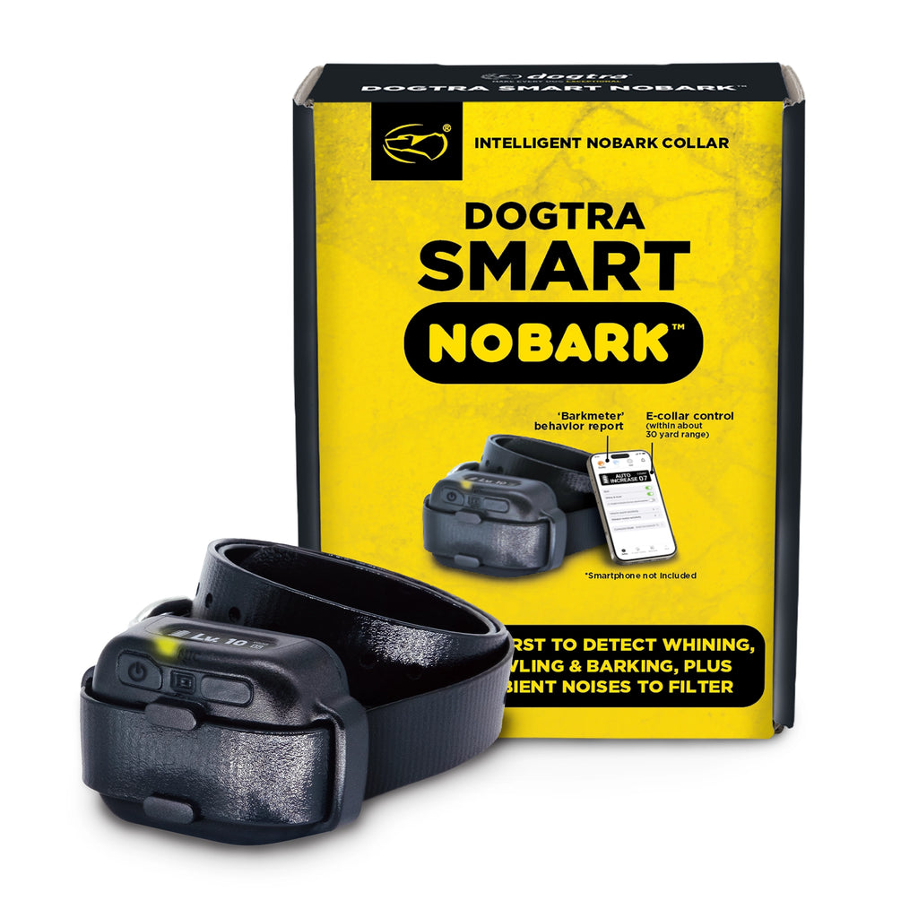 Frequently Asked Questions About Do Bark Collars Work for Whining
