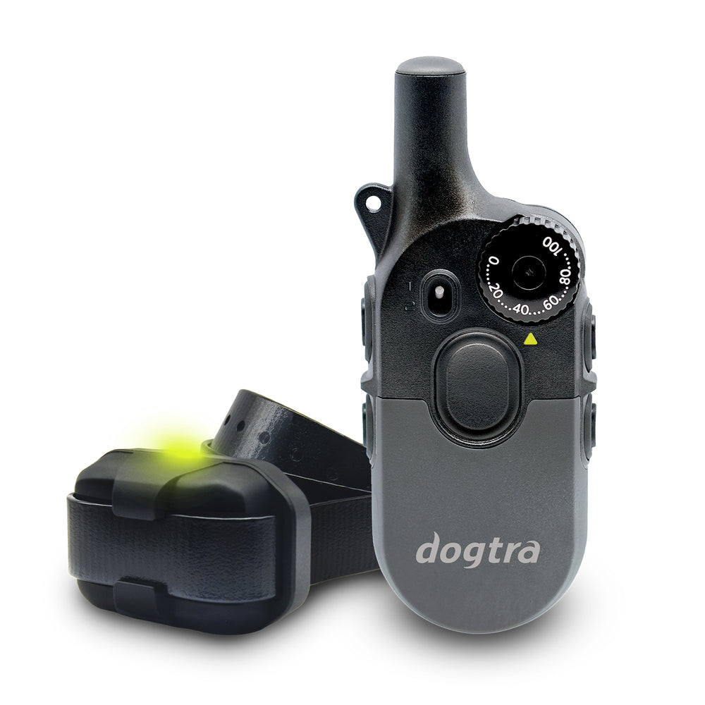 200iQ + iQ Mini Additional Receiver + Magnet Tool