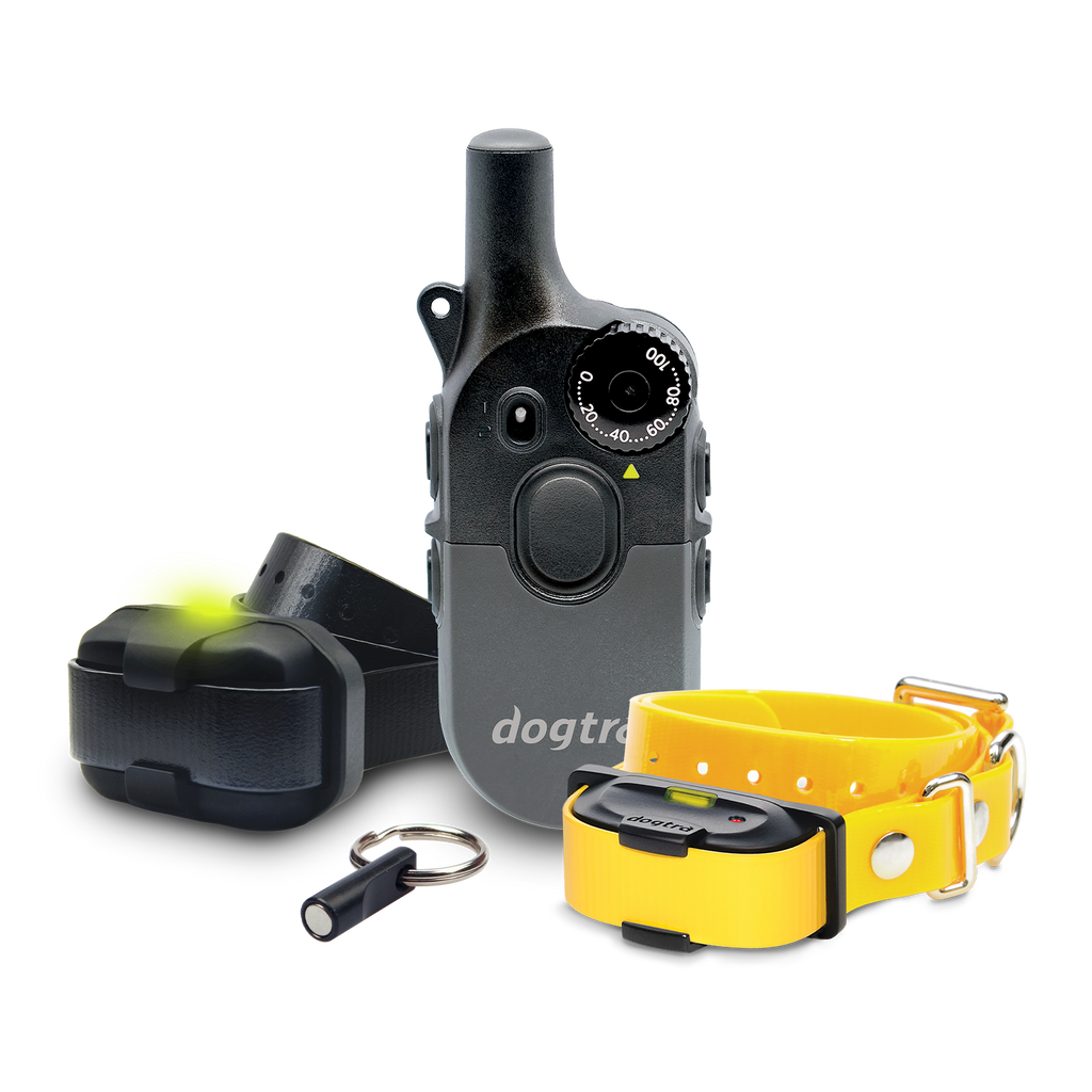 200iQ DUAL COLLAR BUNDLE – Dogtra.com