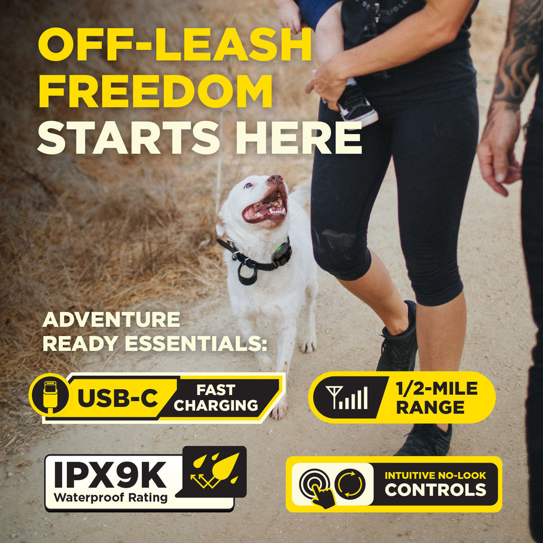 200iQ LAVENDER + FREE DOGTRA TREAT BAG