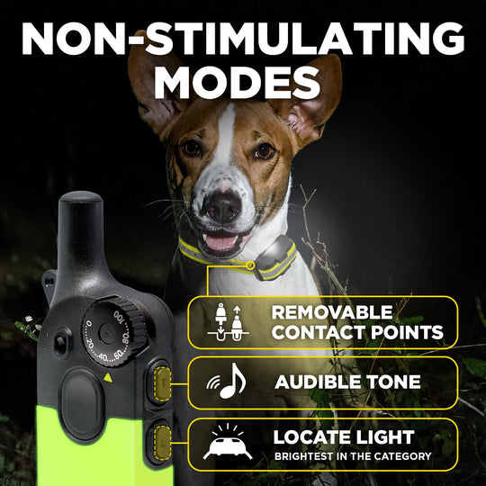 A dog collar remote control shown in a dark outdoor setting with a dog wearing a reflective neon collar. Large text reads 'NON-STIMULATING MODES,' with feature callouts including 'Removable Contact Points,' 'Audible Tone,' and 'Locate Light.