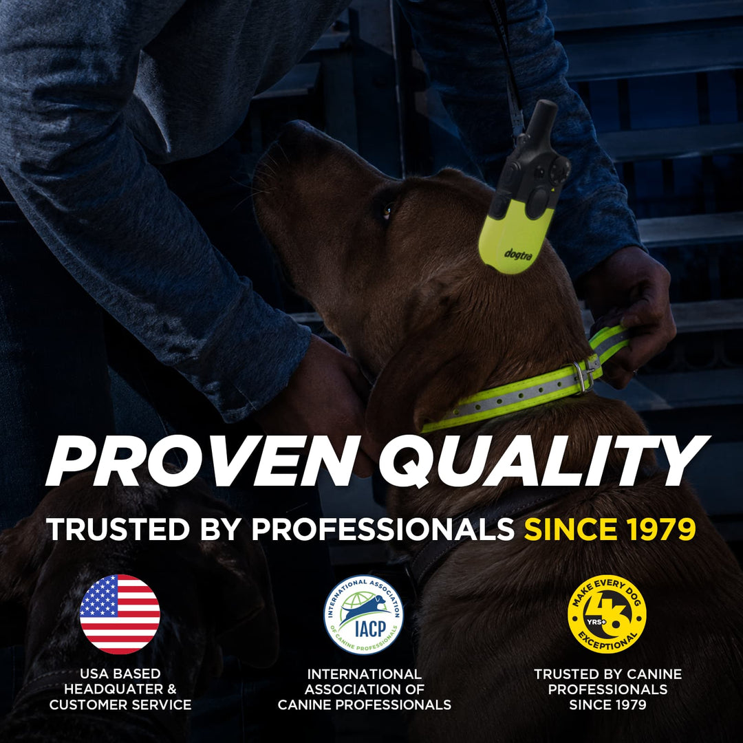 A brown dog wearing a bright neon reflective collar and a matching collar tag, with a person holding the dog in a dark outdoor setting. Large text reads 'PROVEN QUALITY' and 'TRUSTED BY PROFESSIONALS SINCE 1979,' with three certification logos at the bottom.
