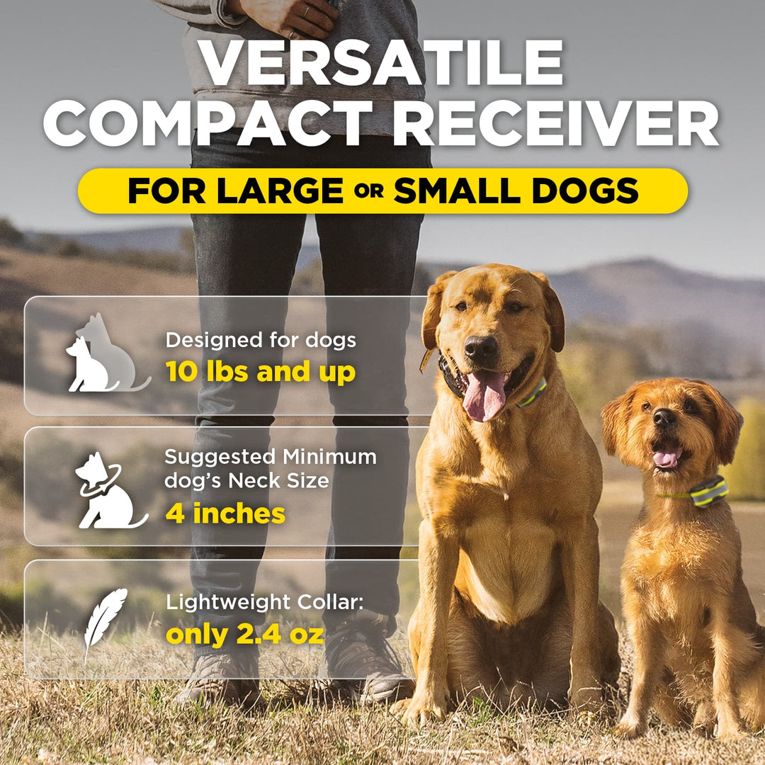 Promotional graphic for a dog collar showing two golden retriever dogs outdoors with a person standing behind them. Large text reads 'VERSATILE COMPACT RECEIVER' and 'FOR LARGE OR SMALL DOGS,' with feature callouts about suitability for dogs 10 lbs and up, 4-inch neck size, and lightweight at 2.
