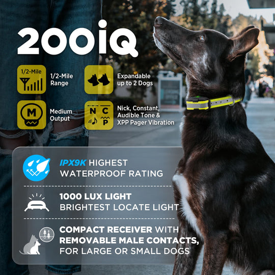 A black and white dog wearing a yellow reflective collar is shown outdoors on a street, with large text and feature icons for the 200IQ dog collar. The image highlights features like 1/2-mile range, medium output, IPX9K waterproof rating, and 1000 lux light.