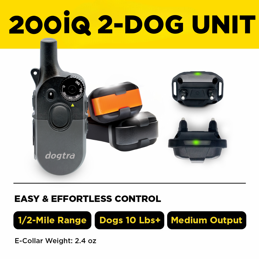 200iQ 2-DOG UNIT